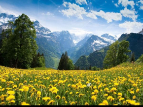 Balcons G 036 - PARC NAT VANOISE appart 6 pers